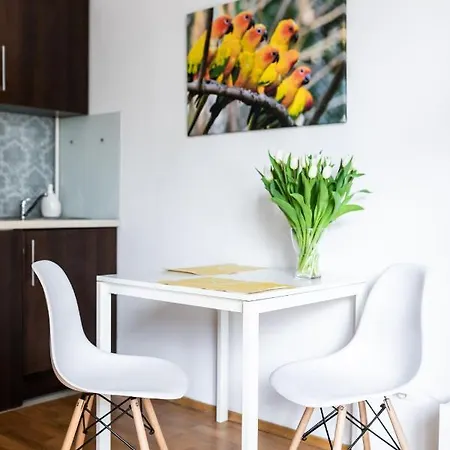 Down Town View アパート