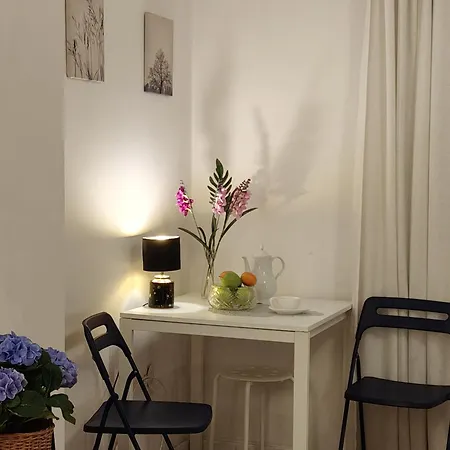 アパート Down Town View