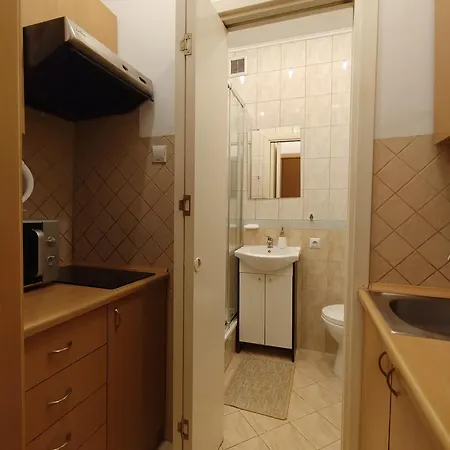 Lägenhet Down Town View *