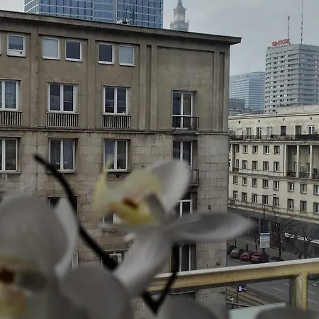 Down Town View Warszawa